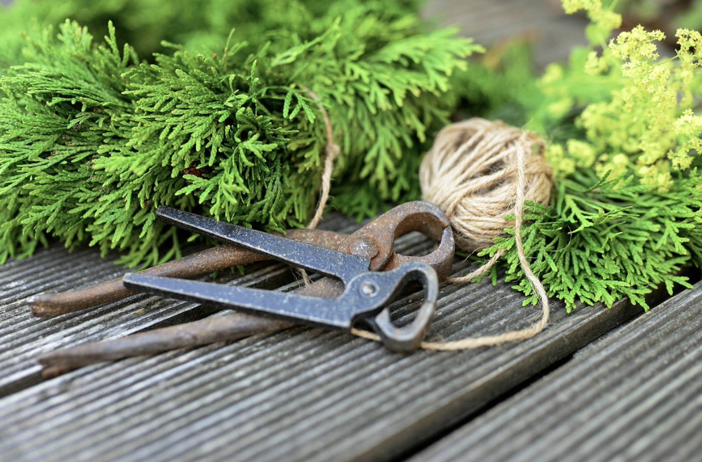 Красота без переплат – как купить красивый и недорогой букет