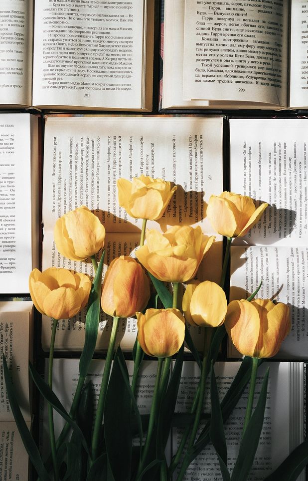 Искусство выбора – как купить свежие цветы, которые простоят долго