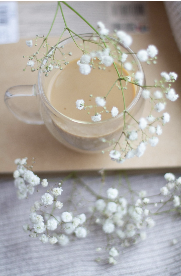 Безмолвная терапия – как гипсофила создает оазис спокойствия в современном мире