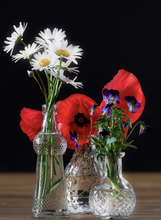 Жизнь после срезки: полное руководство по уходу за букетом