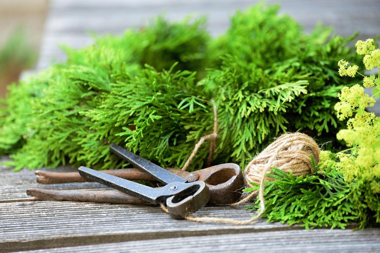 Как создать мини-сад в посуде: креативный DIY для уюта