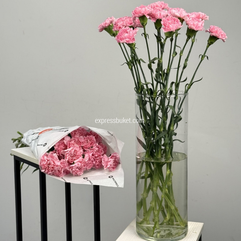 Розовые диантусы, 20шт