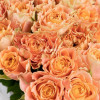 Букет Теплые объятия из 25 роз