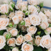Букет из 11 персиковых кустовых роз